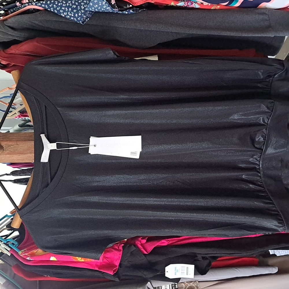 Shiny Black Cap Sleeve Blouse 2X